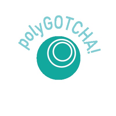 Polygotcha – screenshot 1