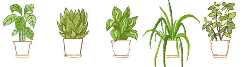 Money Tree – screenshot 3