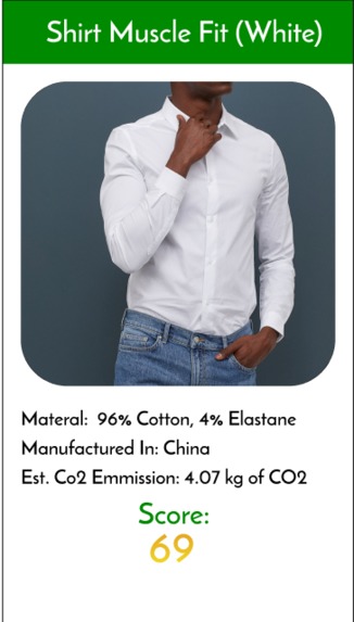 EcoStep – screenshot 4