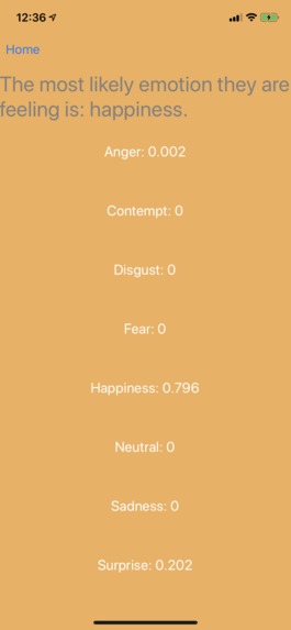 Emotions Decoded – screenshot 3