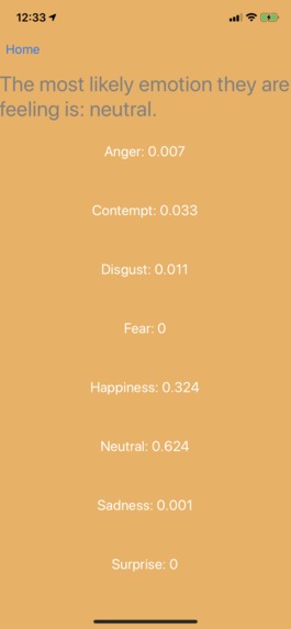Emotions Decoded – screenshot 4