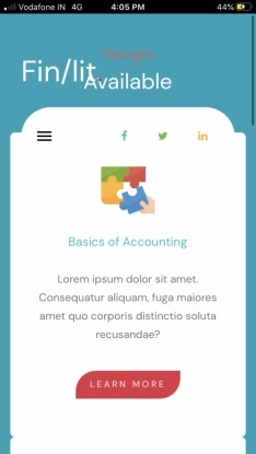 FinLit – screenshot 1