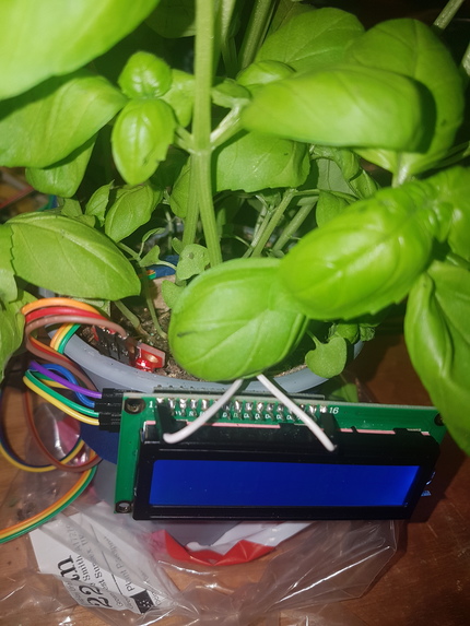 Jeff Basil against the World – screenshot 2