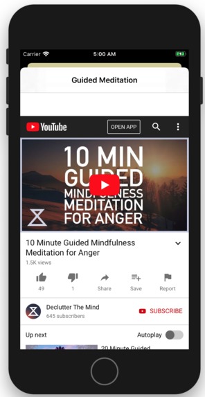 Moodly – screenshot 4