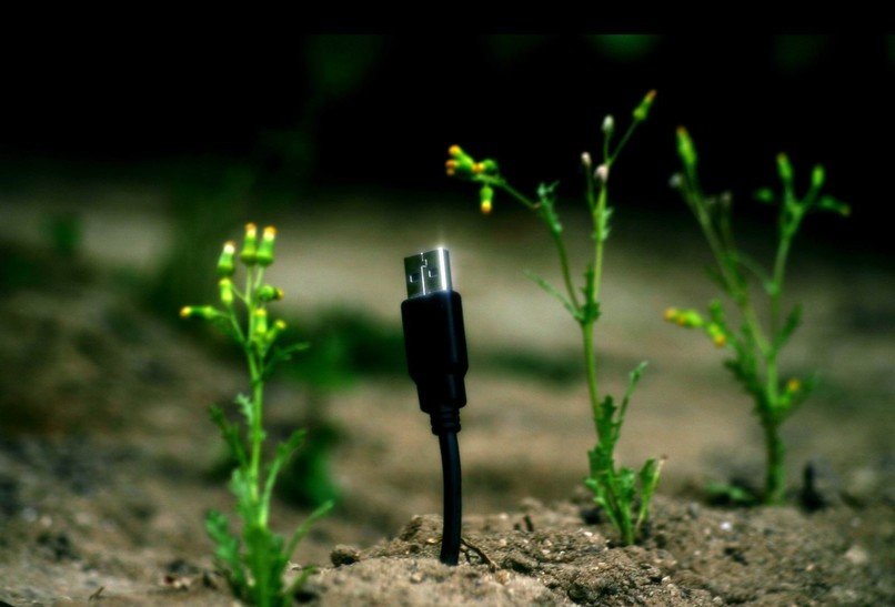 ePlant – screenshot 1