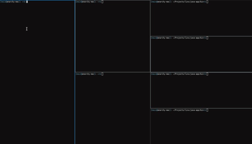 Linx – screenshot 1