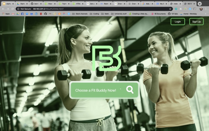 Fitbud – screenshot 2