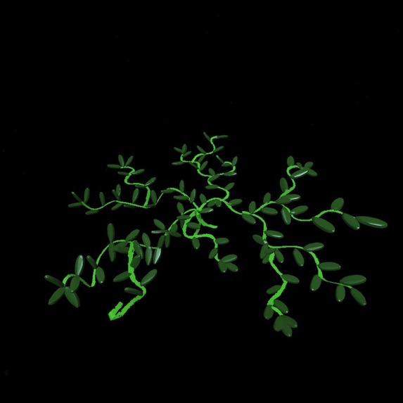 AR Community Garden – screenshot 14