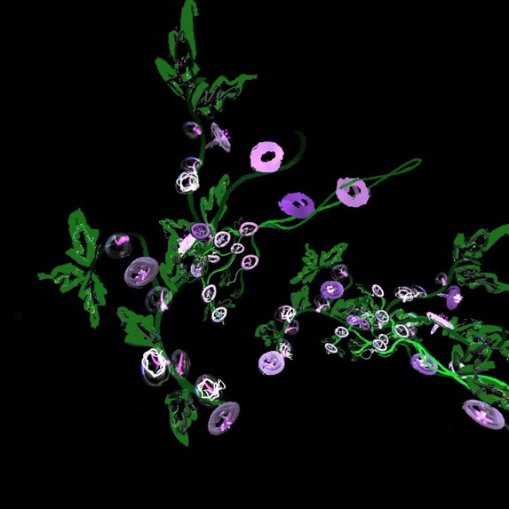 AR Community Garden – screenshot 17