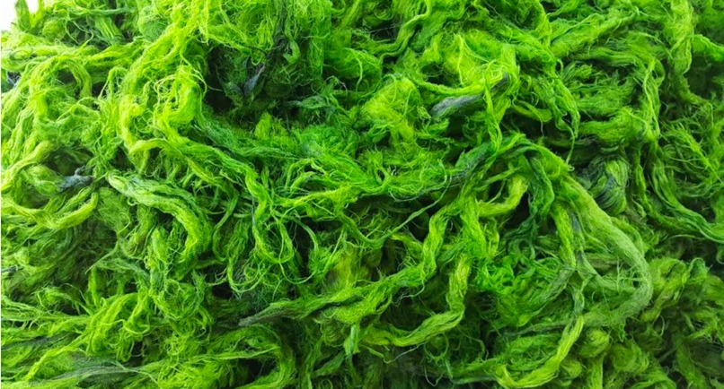 ShiroTech – screenshot 8