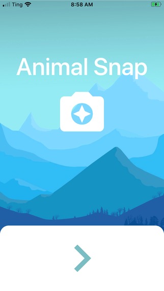Animal Snap – screenshot 1