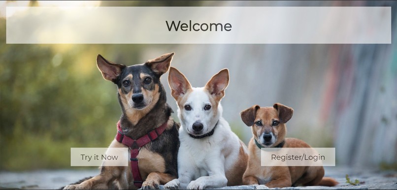 dog.go – screenshot 2