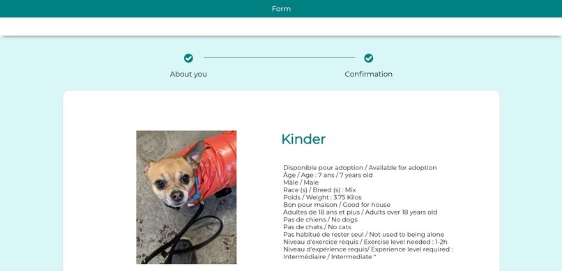 dog.go – screenshot 6