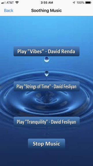 Airline Friend – screenshot 4