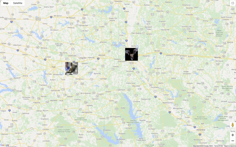 Spot 'Em – screenshot 3