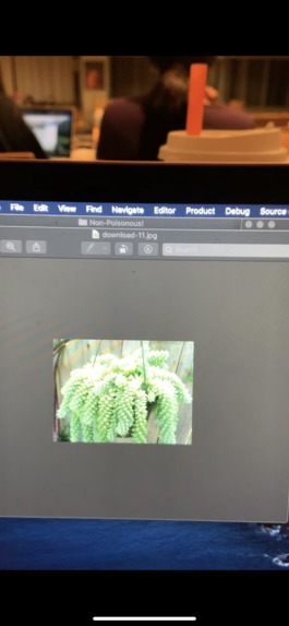 Snapplants – screenshot 1