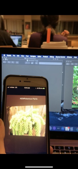 Snapplants – screenshot 2