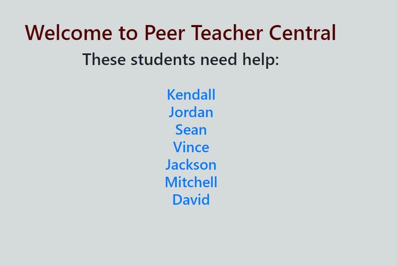 Peer Teacher Central Support Ticket System – screenshot 6