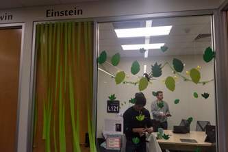 Rainforest Room