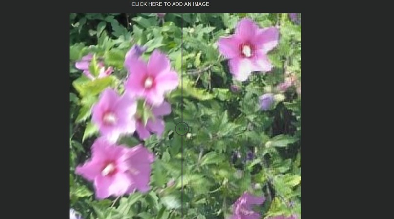 crispify.ai – screenshot 3