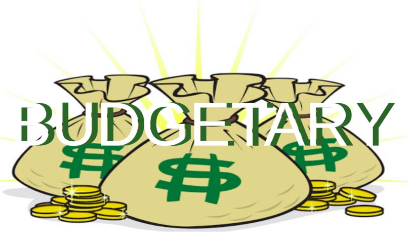 Budgetary – screenshot 1