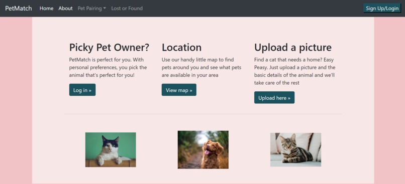 PetMatch – screenshot 2