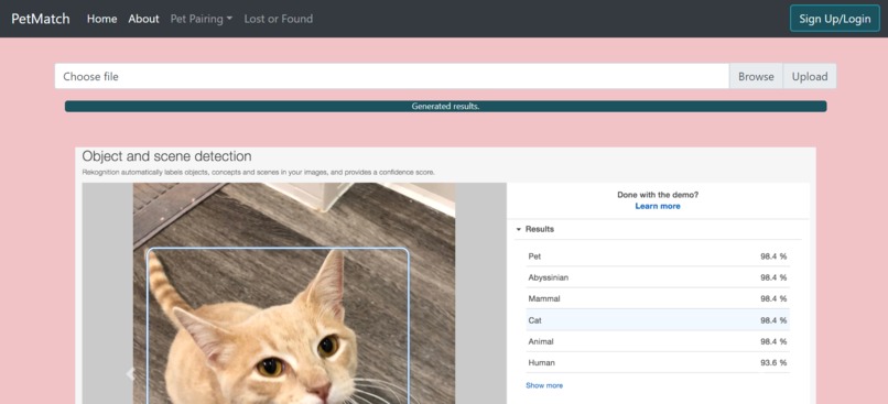 PetMatch – screenshot 9