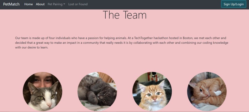 PetMatch – screenshot 4