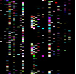 AlbumUp – screenshot 1