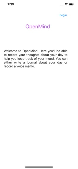Open_Mind – screenshot 1