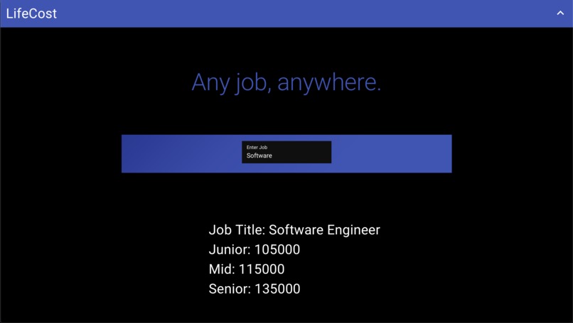 LifeCost – screenshot 3