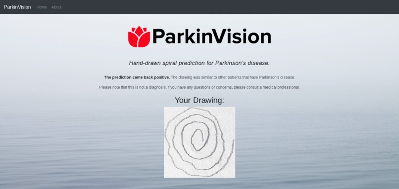 ParkinVision – screenshot 3