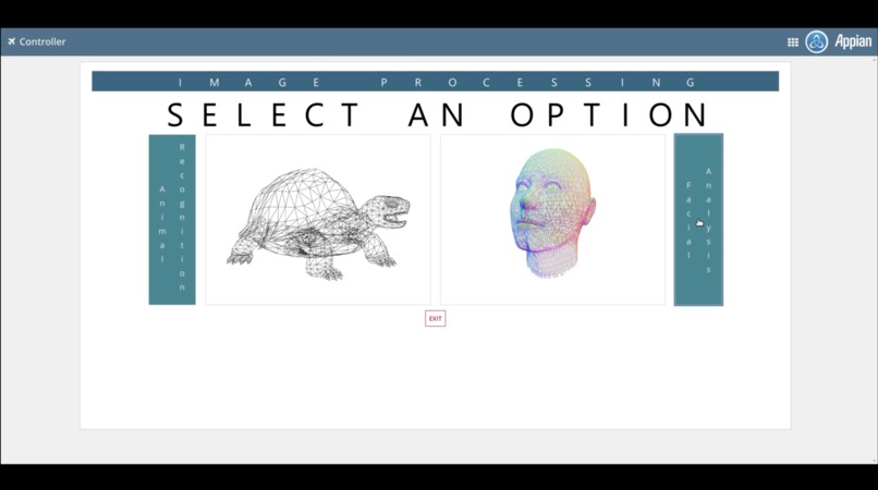 Appian drone – screenshot 2