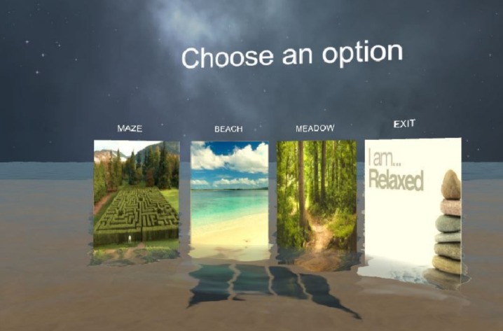 VR_BRAVE  – screenshot 3