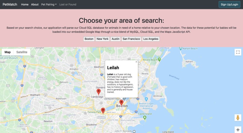 PetMatch – screenshot 5