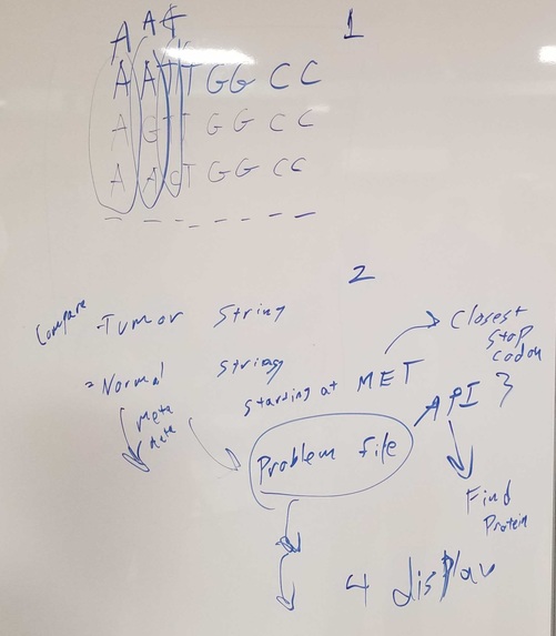 Proteomics Sorter and Analyzer   – screenshot 4