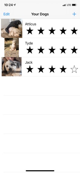 Dog Tracker – screenshot 1