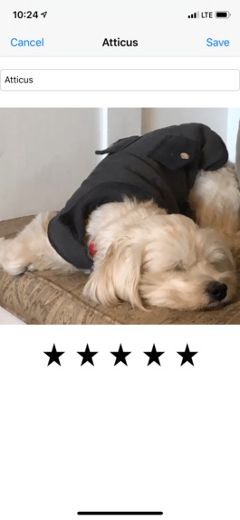 Dog Tracker – screenshot 3