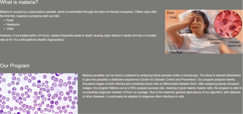 Blood Cell Malaria Tester  – screenshot 2