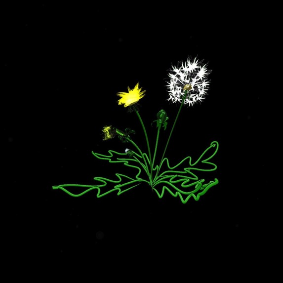 AR Community Garden – screenshot 15