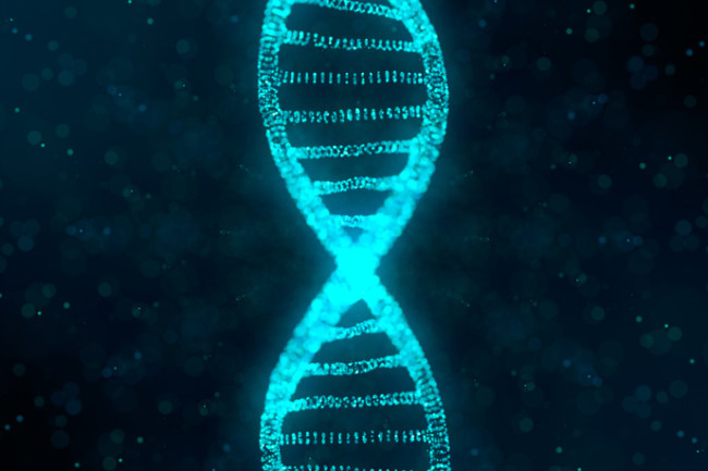 Reactive Genetics – screenshot 1