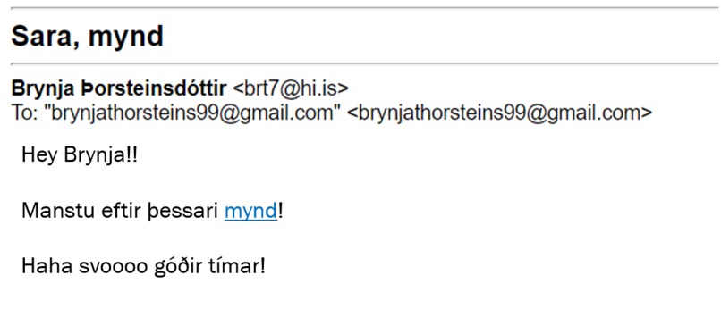 Þinn eigin eldveggur  – screenshot 3