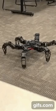 Celeste vs Coronavirus – screenshot 3