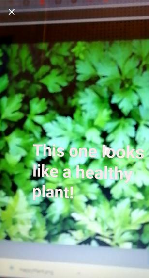 Easy-garden – screenshot 5