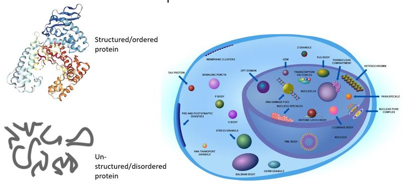 Statistical machine learning for protein classificaiton – screenshot 2