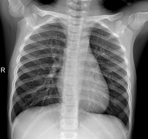 batch processing of medical images – screenshot 1