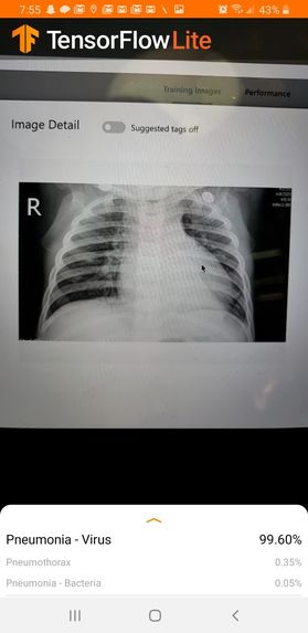 Bion – screenshot 5