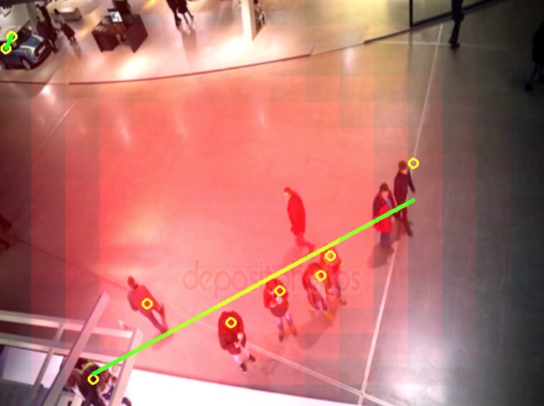 Crowd Insights – screenshot 2