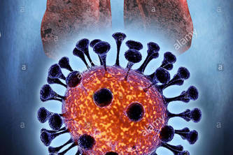 Visualizing Coronavirus