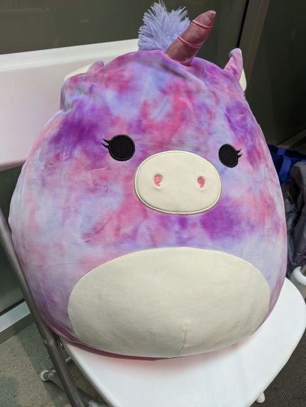 Programmatically Unaided Conversational Companion (PUCC) – screenshot 1